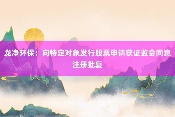 龙净环保：向特定对象发行股票申请获证监会同意注册批复