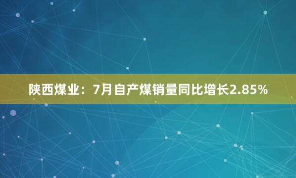 陕西煤业：7月自产煤销量同比增长2.85%