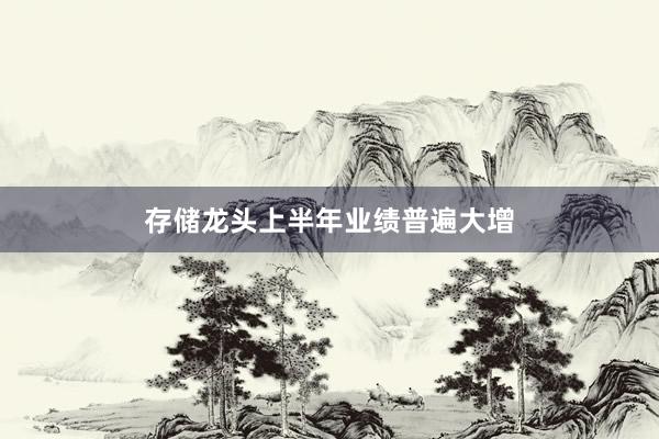 存储龙头上半年业绩普遍大增