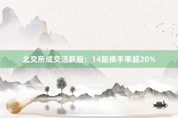 北交所成交活跃股：14股换手率超20%