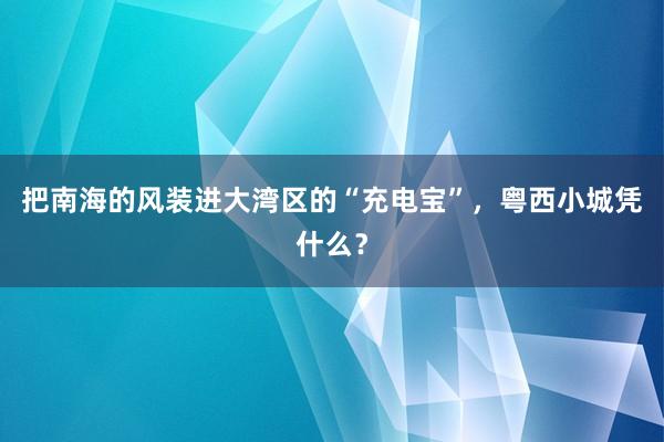 把南海的风装进大湾区的“充电宝”，粤西小城凭什么？