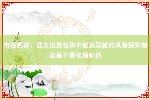 市场观察：亚太投资板块中配资导航的风险预算制度基于量化指标的