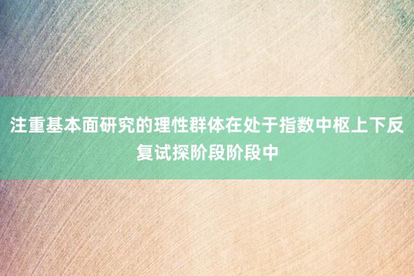 注重基本面研究的理性群体在处于指数中枢上下反复试探阶段阶段中