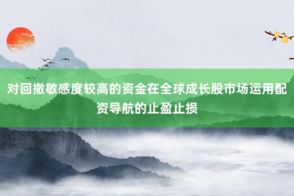 对回撤敏感度较高的资金在全球成长股市场运用配资导航的止盈止损