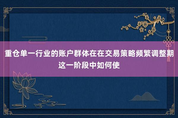 重仓单一行业的账户群体在在交易策略频繁调整期这一阶段中如何使