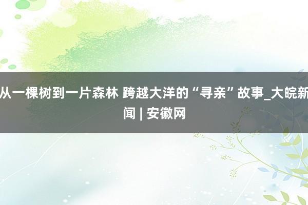 从一棵树到一片森林 跨越大洋的“寻亲”故事_大皖新闻 | 安徽网