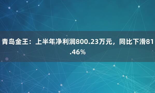 青岛金王：上半年净利润800.23万元，同比下滑81.46%