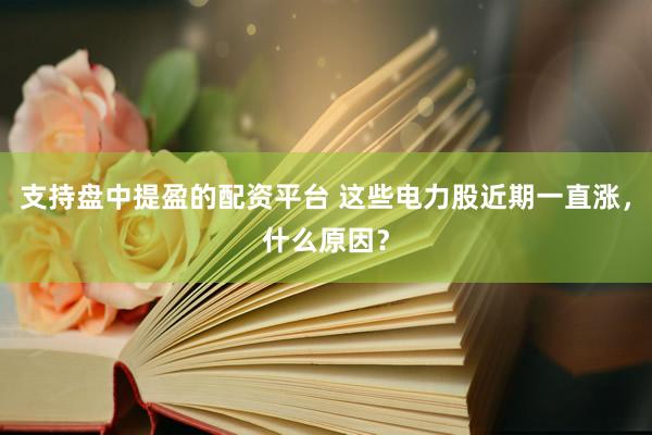 支持盘中提盈的配资平台 这些电力股近期一直涨，什么原因？