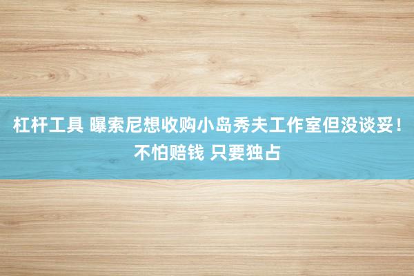 杠杆工具 曝索尼想收购小岛秀夫工作室但没谈妥！不怕赔钱 只要独占
