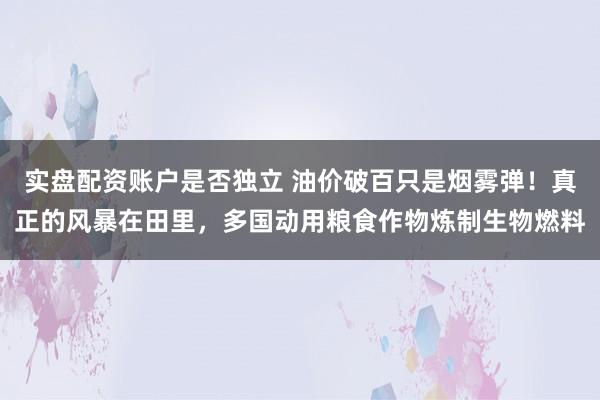 实盘配资账户是否独立 油价破百只是烟雾弹！真正的风暴在田里，多国动用粮食作物炼制生物燃料