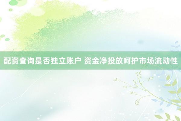 配资查询是否独立账户 资金净投放呵护市场流动性